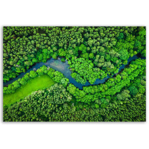 Tableau rivière sinueuse vue du ciel Toile imprimée