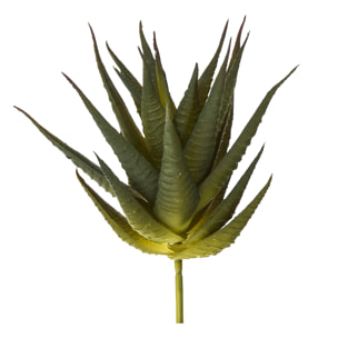 Echeveria Cactus. Altezza 12 Cm - Pezzi 12 - 10X12X8cm - Colore: Verde - Bianchi Dino - Piante Artificiali