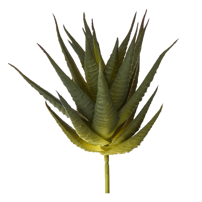 Echeveria Cactus. Altezza 12 Cm - Pezzi 12 - 10X12X8cm - Colore: Verde - Bianchi Dino - Piante Artificiali