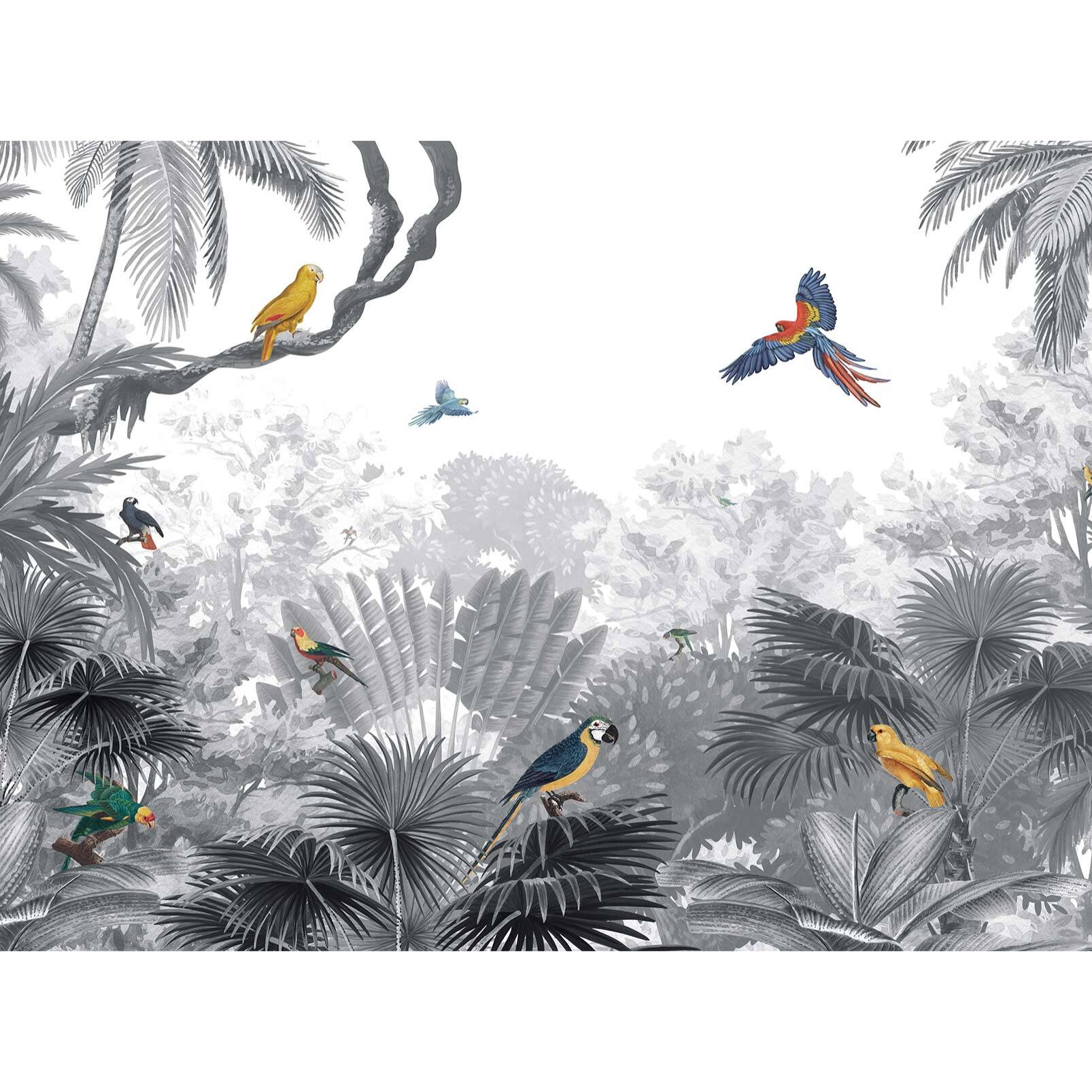 Papier peint perroquets dans la jungle Intissé