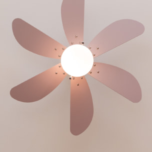 Cecotec Ventilatore da soffitto con luce EnergySilence Aero 3600 Vision Full Pur