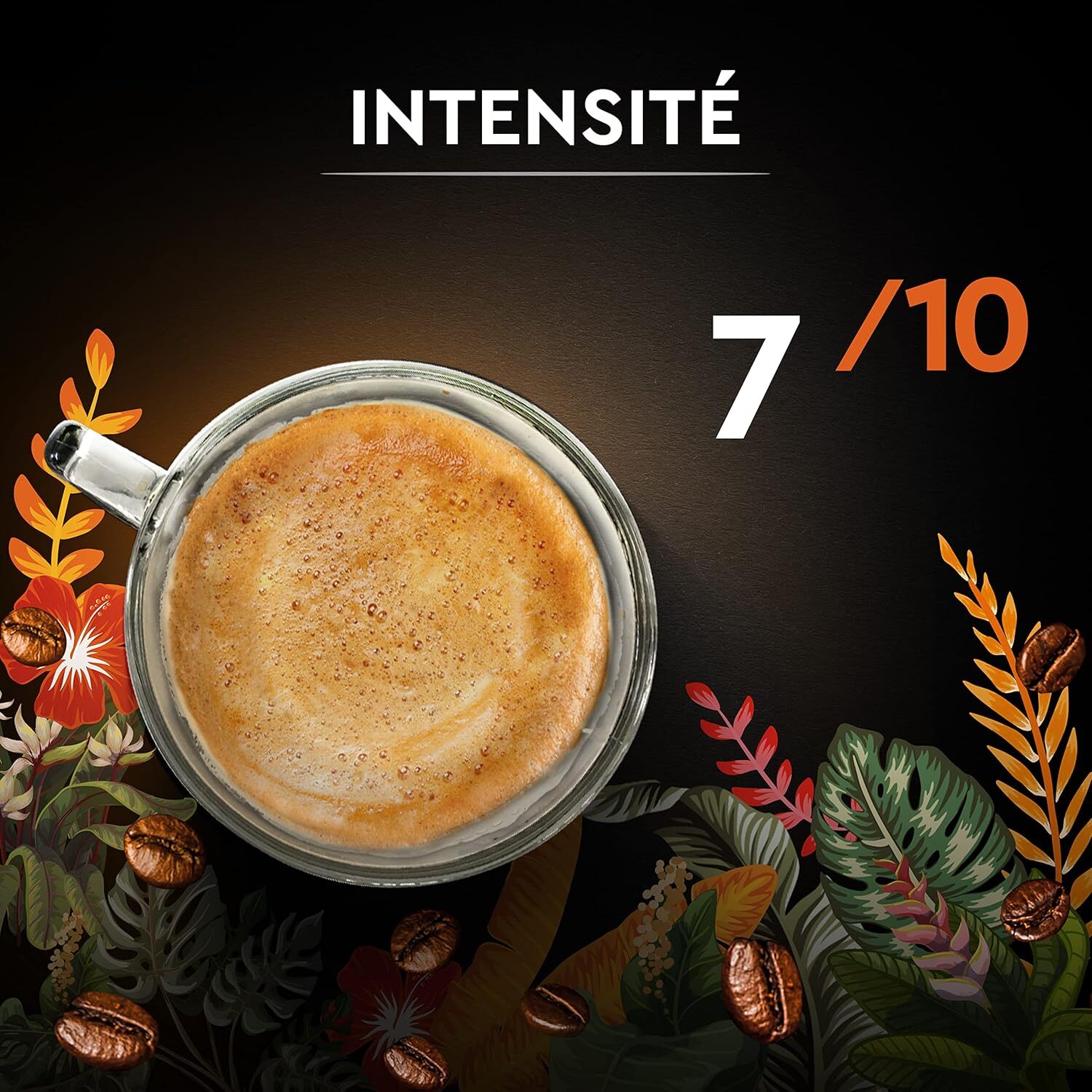 Carte Noire Grains Secret de Nature 2 Catuai 1 KG