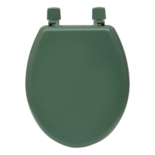 Abattant WC Colorama 36x48cm vert ficu