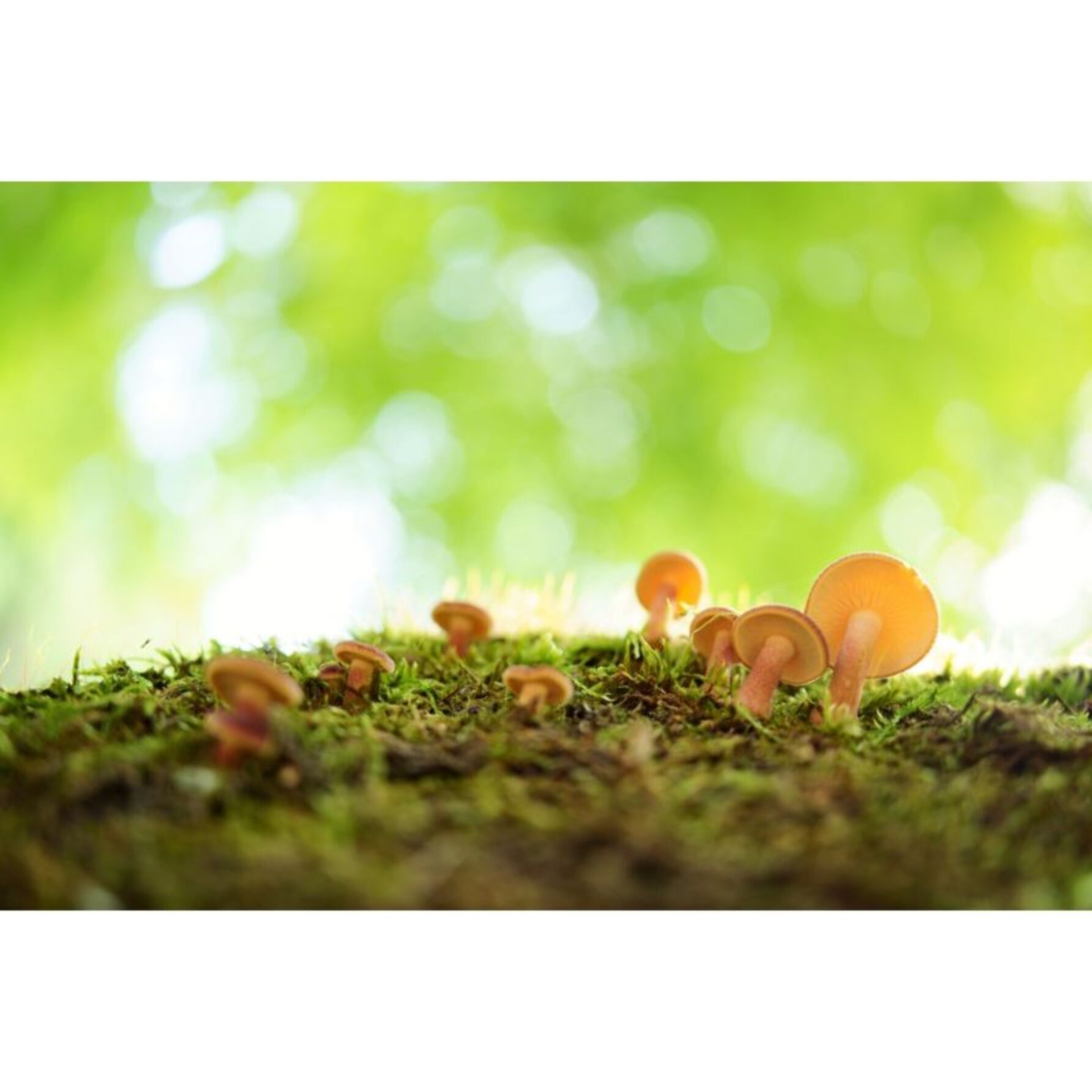 Objectif pour Hybride TAMRON 35mm F2.8 DI III OSD Sony FE