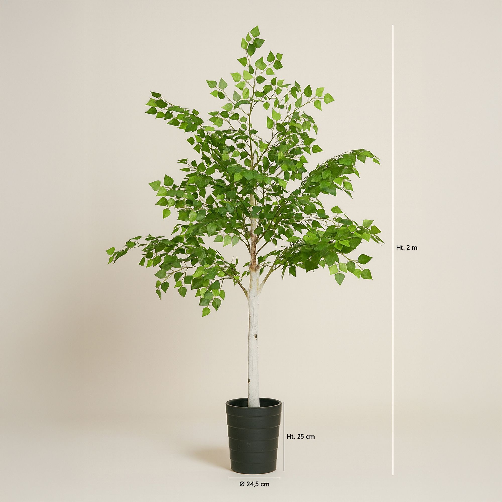 Bouleau artificiel FRAY