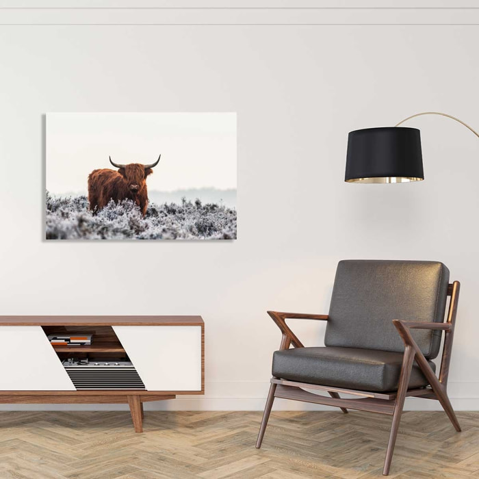 Tableau vache Highland Tableau verre acrylique