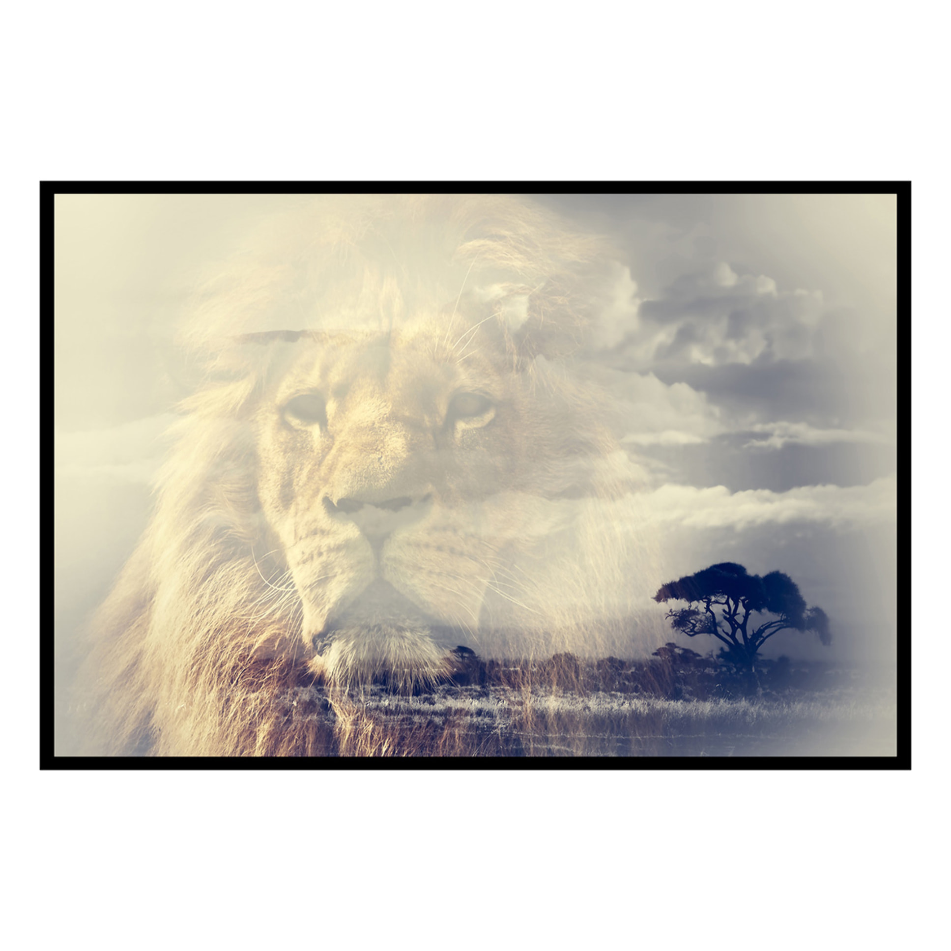 Affiche encadrée lion majestueux en double exposition Affiche + cadre en métal - Noir