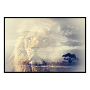 Affiche encadrée lion majestueux en double exposition Affiche + cadre en métal - Noir