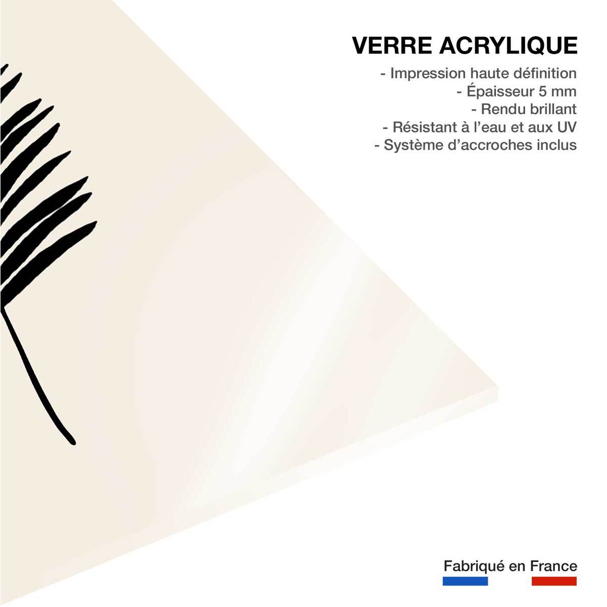 Tableau black palm Tableau plexiglas