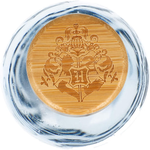 Harry Potter Borraccia in Vetro per Acqua in Vetro Borosilicato 620ml Stor