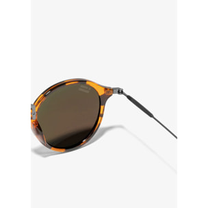 Gafas de Sol Roller TR90 Carey / Blue D.Franklin