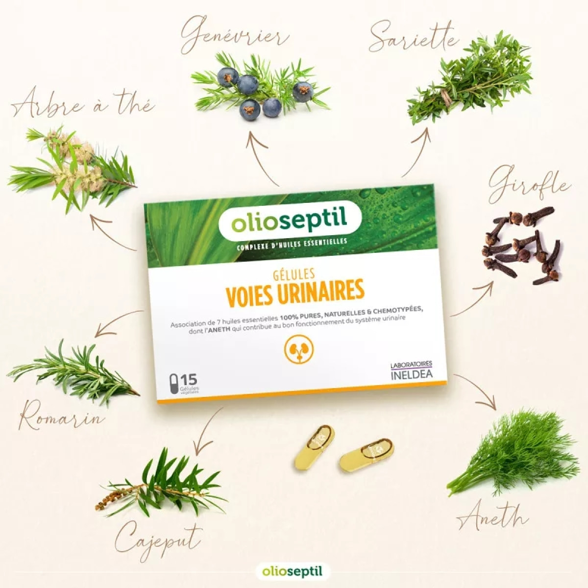 OLIOSEPTIL® - Gélule Voies Urinaires - Contribue au bon fonctionnement du système urinaire - Complexe de 7 Huiles Essentielles Pures et Chémotypées - Gélules Végétales L-Vcaps® - Lot de 3