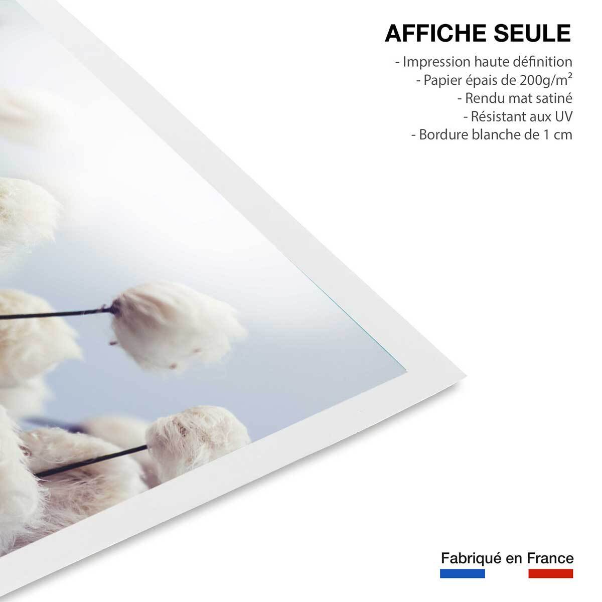 Affiche fleurs de coton au vent Affiche seule