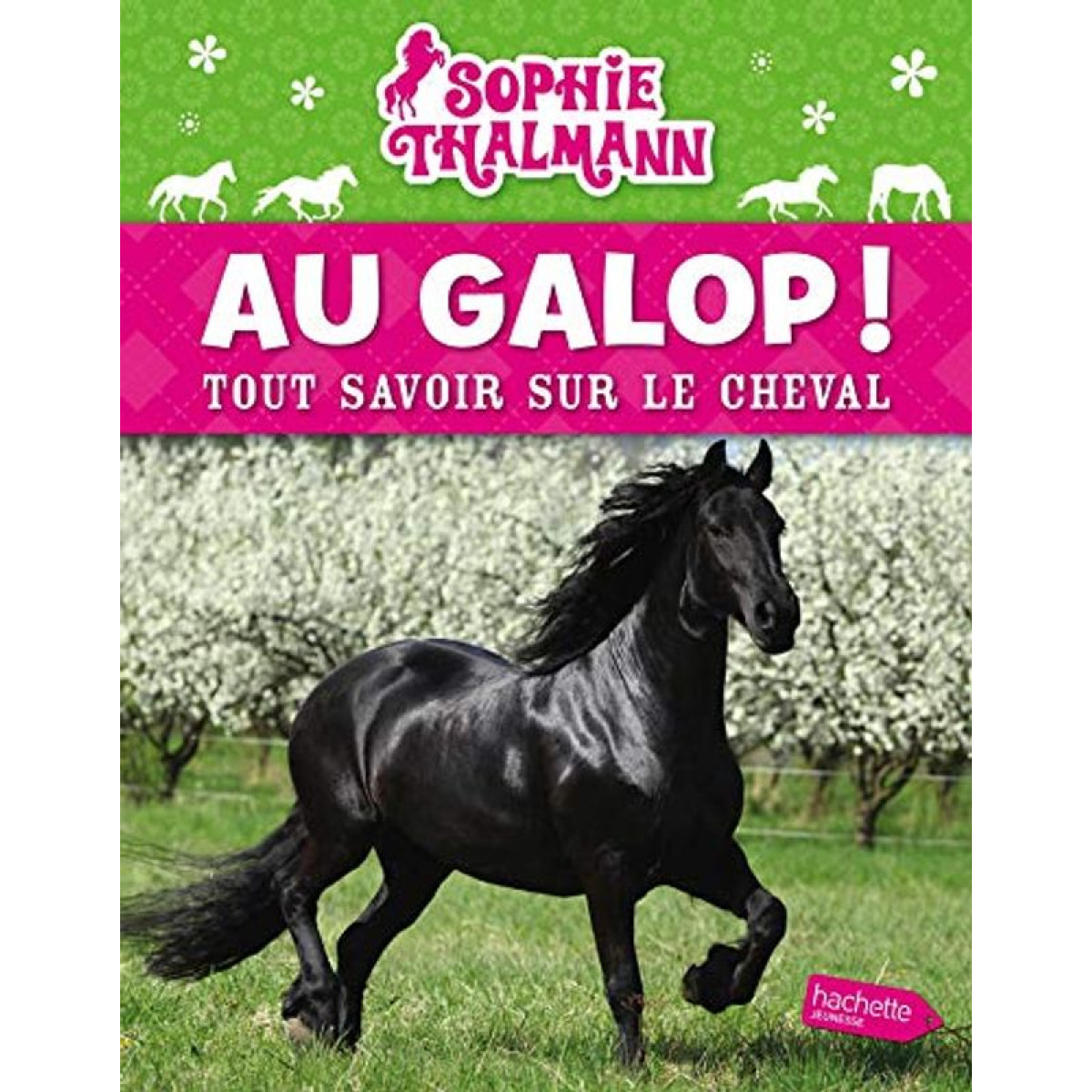 Collectif | Sophie Thalmann / Au galop (refonte) | Livre d'occasion