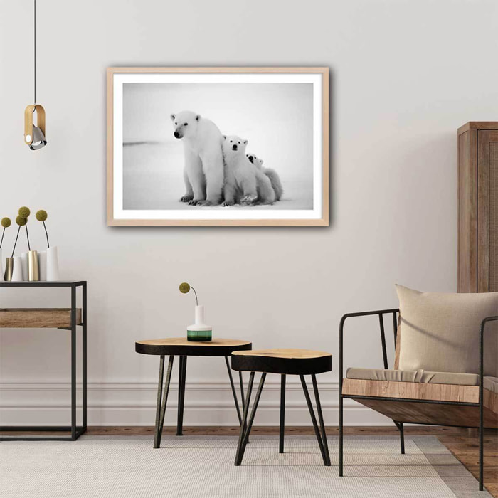 Affiche animaux family polar bear Affiche sous cadre bois