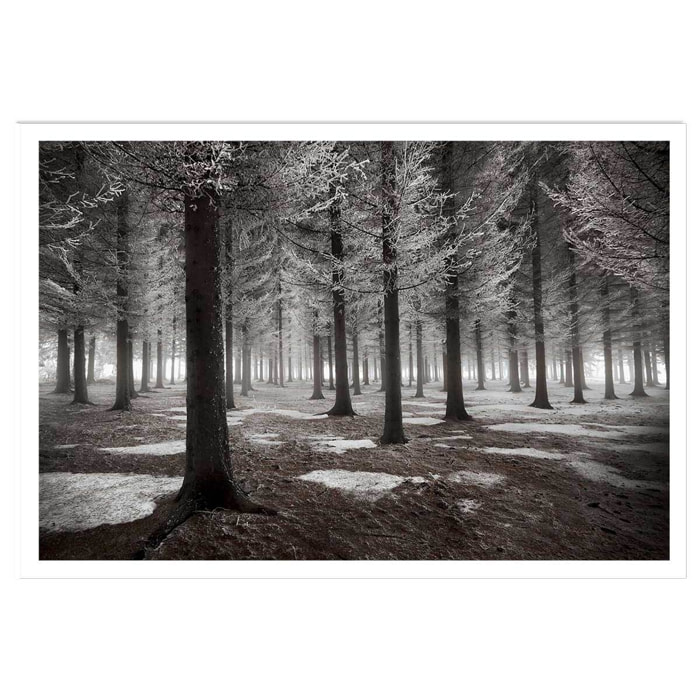 Affiche deco ""debut d'hiver"" Affiche seule