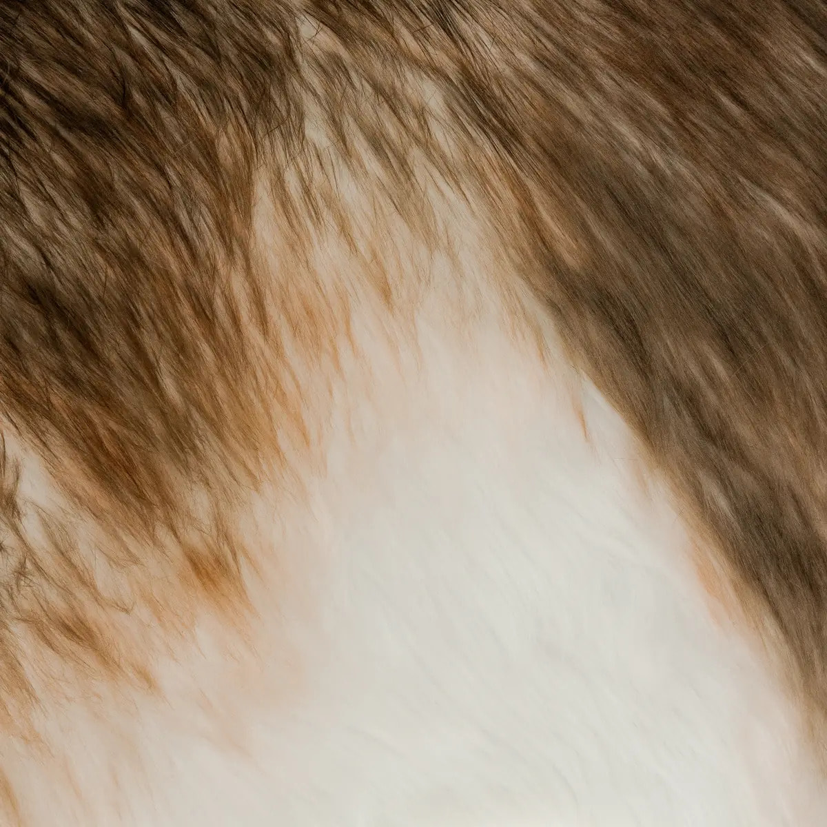 Décoration renne géant H180cm