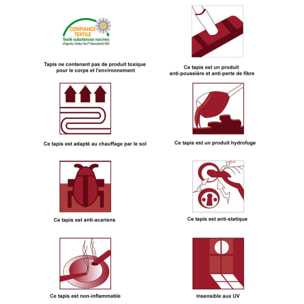 Tapis shaggy tissé motif uni DOSU