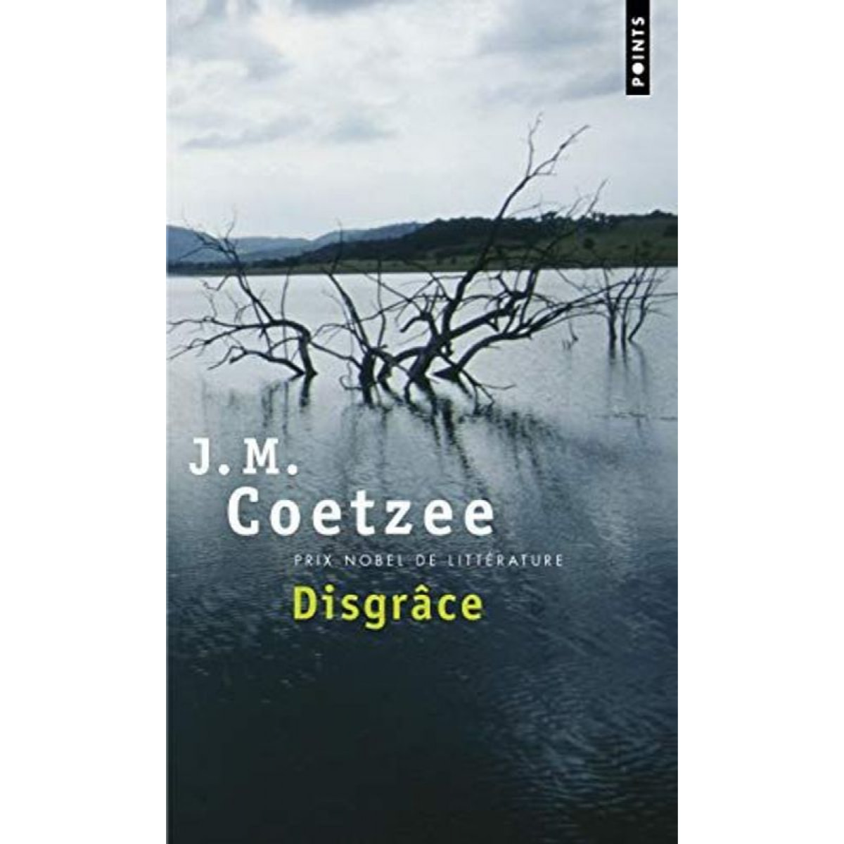 John Maxwell Coetzee | Disgrâce | Livre d'occasion