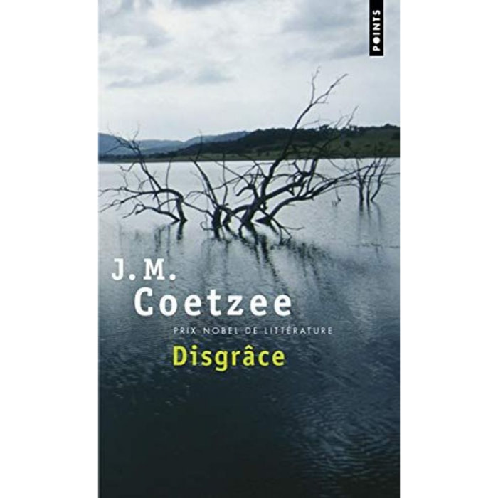 John Maxwell Coetzee | Disgrâce | Livre d'occasion