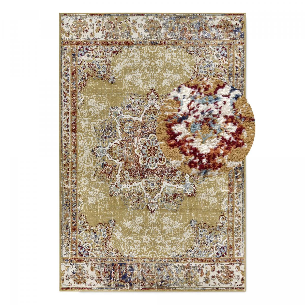 Tapis salon Rectangulaire Oriental