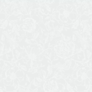 Serviette pur coton motif jacquard blanc Mille charmes blanc