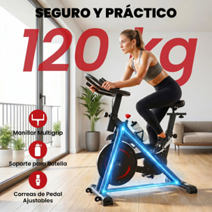 Bicicleta Estática en Casa con Resistencia Magnética, APP Bluetooth, Bici Estática Silenciosa con Pantalla LCD, Volante, Asiento y Manillar Ajustables, Ruedas, Soporte Teléfono, Portabotellas