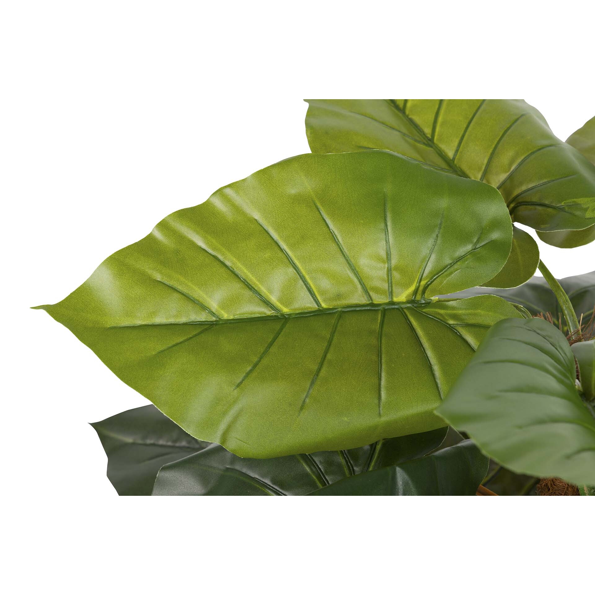 Planta Artificial Taro Con Maceta 65x65x120 Cm