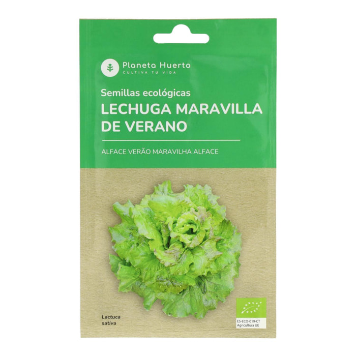 PLANETA HUERTO | Semillas Ecológicas de Lechuga Maravilla de Verano – Variedad Resistente con Hojas Crujientes y Color Atractivo