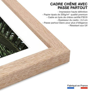 Poster palme bleue Affiche + cadre en bois - Chêne