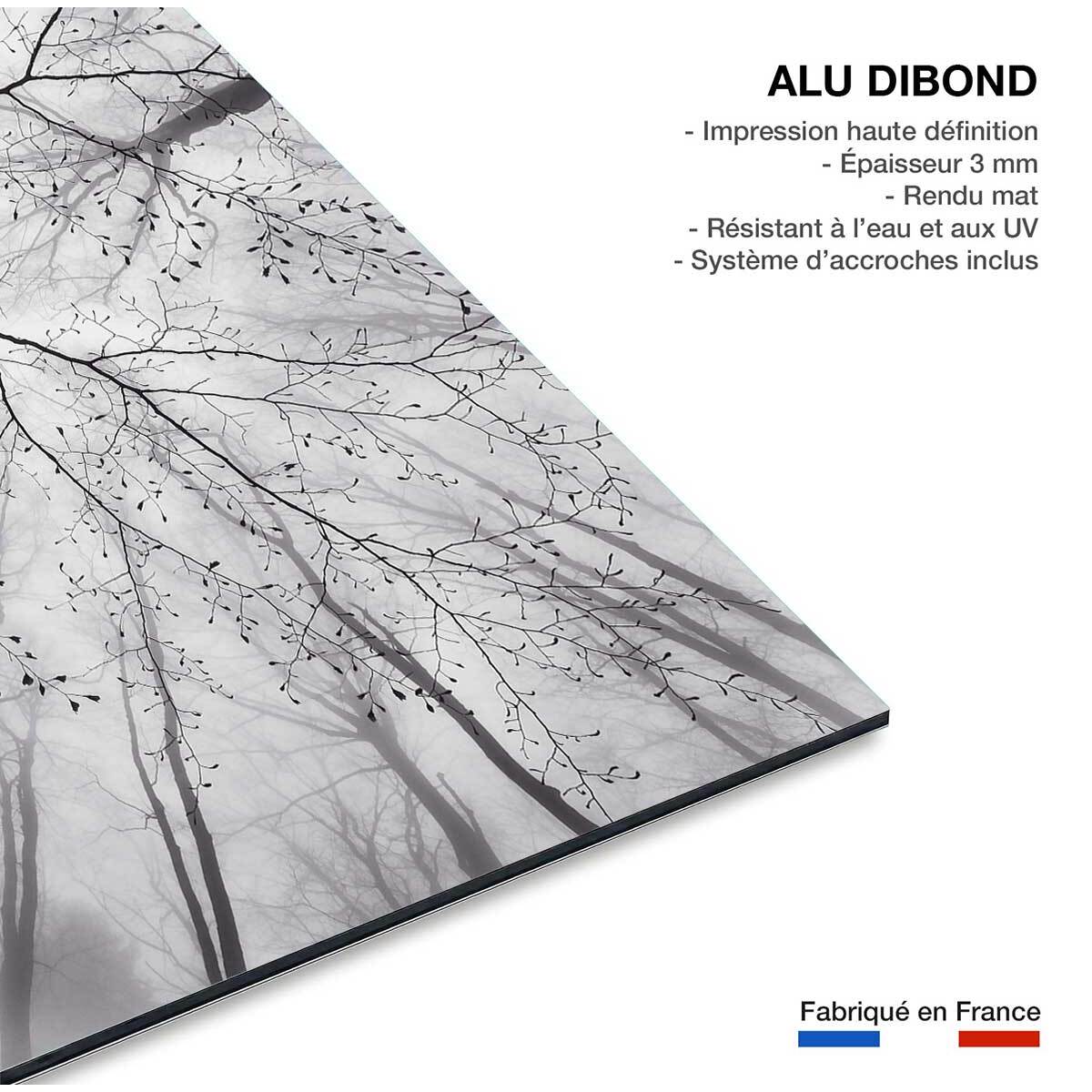 Tableau nature canopée Tableau alu Dibond