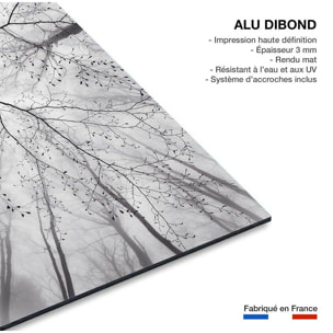 Tableau nature canopée Tableau alu Dibond