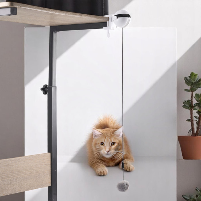 Jeu Interactif Pour Chat A Visser Chat'scenseur
