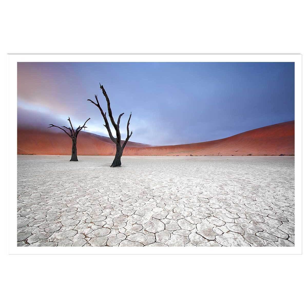 Affiche de Namibie, Le deadvlei Affiche seule