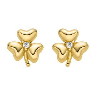 Pendientes con Circonita Brillante acabado oro 18k