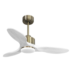 Ventilador de techo Modo Invierno/Verano Termostato Dimable Wifi Motor DC Techos Inclinados Mando a Distancia Luz tres tonos Hypersilence Memoria Vendible Shopify (AUTOMATICO) LimaD106C03LED64838 PURLINE