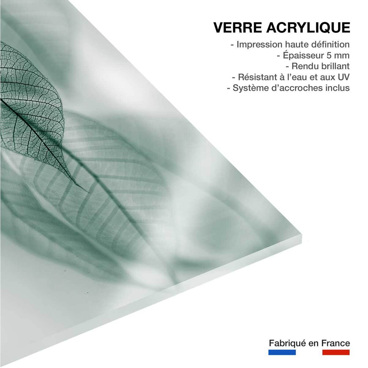 Tableau feuille leaf  Tableau plexiglas