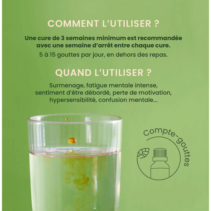 Herbalgem- EnerGem surcharge mentale - Bio - 30 ml