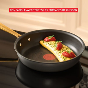 Poêle TEFAL 24cm Bocuse Edition