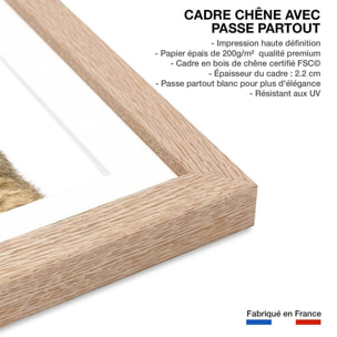 Affiche enfant bébé lionceau  Affiche + cadre en bois - Chêne