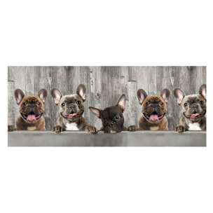 Tappeto Passatoia Corsia Cucina Ingresso Antimacchia Disegno Bulldog 497