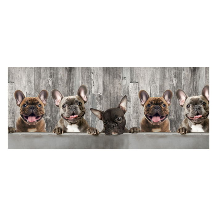 Tappeto Passatoia Corsia Cucina Ingresso Antimacchia Disegno Bulldog 497