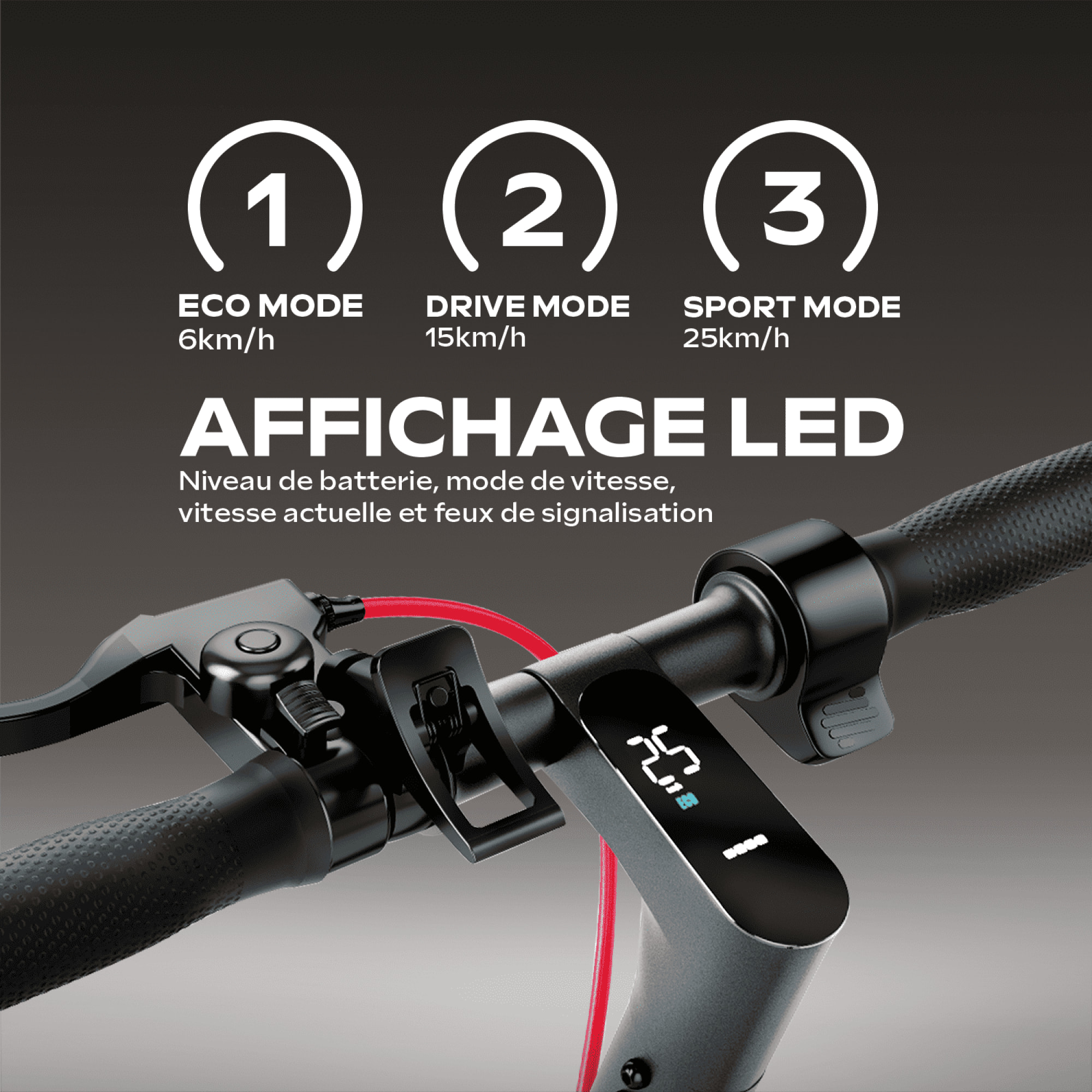 Trottinette Électrique 100 PRO 2 – 450W, 25 km/h, Autonomie 30 km - 10" - 36V/7.5Ah - 15Kg