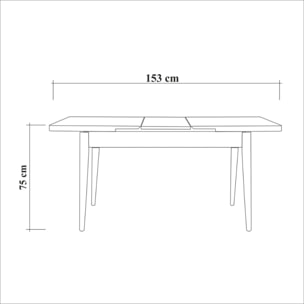 GAO - Table extensible bois - max 6 personnes