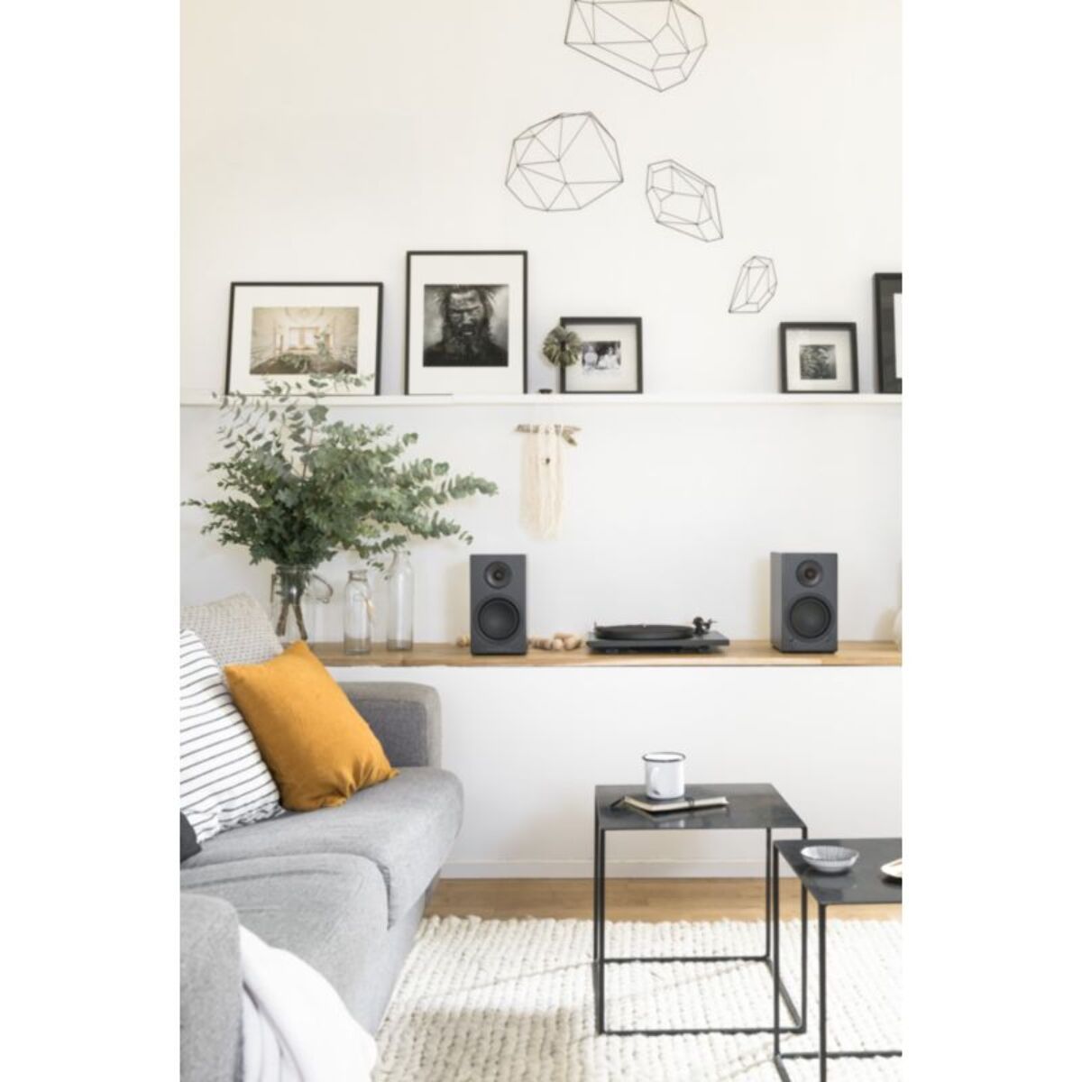 Enceinte bibliothèque active TRIANGLE LN01A ELARA NOIR MAT X2