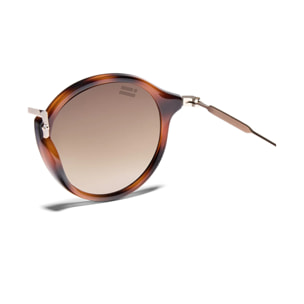 Gafas De Sol D. Franklin Roller TR90