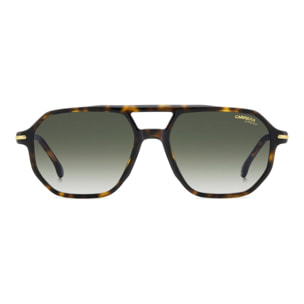 Gafas de Sol Carrera 341/S 2IK de Acetato Hombre 54 mm