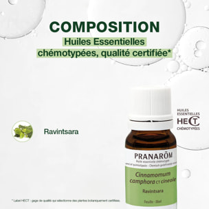 Pranarom - Huile Essentielle de Ravintsara - 10 ml