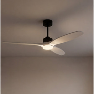 Forlight - Ventilador Stem Evo ø1320mm Acero, Cristal Negro palas Blancas, Arenado