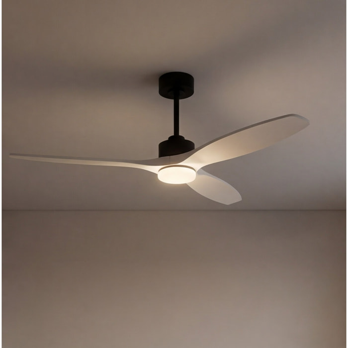 Forlight - Ventilador Stem Evo ø1320mm Acero, Cristal Negro palas Blancas, Arenado